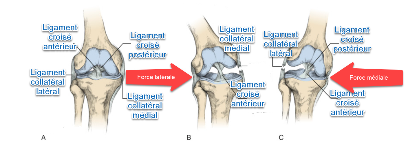 Ligament injuries to the knee | OsteoMag